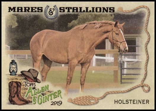 MS-15 Holsteiner Horse